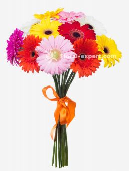 12 Gerberas